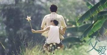 爸爸欧美歌曲大全视频,爸爸欧美歌曲大全视频精华回顾