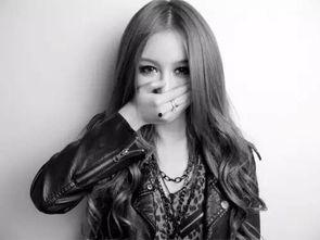 欧美整片免费456视频,畅享无界限的视听盛宴